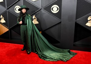 Grammys 2024 Red Carpet Photos