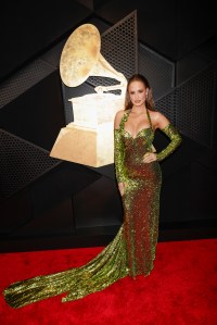 Grammys 2024 Red Carpet Photos