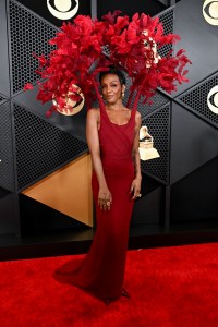 Grammys 2024 Red Carpet Photos