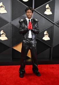 Grammys 2024 Red Carpet Photos