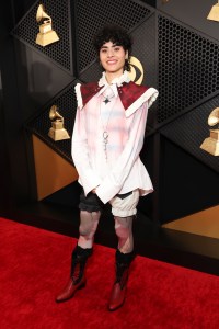 Grammys 2024 Red Carpet Photos