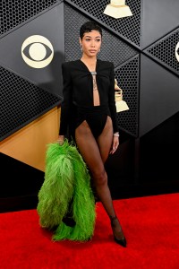 Grammy Awards Red Carpet Photos