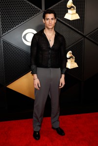 Grammys 2024 Red Carpet Photos