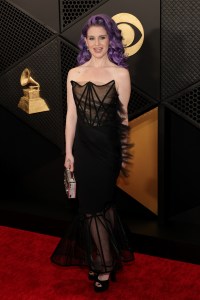 Grammys 2024 Red Carpet Photos