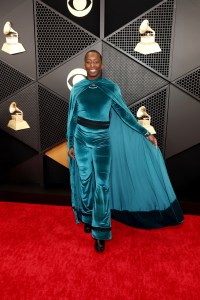 Grammys 2024 Red Carpet Photos