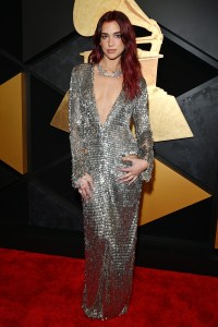 Grammys 2024 Red Carpet Photos