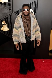 Grammys 2024 Red Carpet Photos