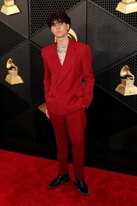 Grammys 2024 Red Carpet Photos