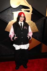 Grammys 2024 Red Carpet Photos