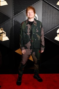 Grammy Awards Red Carpet Photos