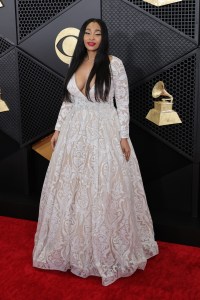 Grammy Awards Red Carpet Photos