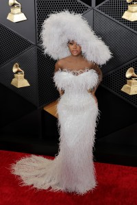 Grammy Awards Red Carpet Photos