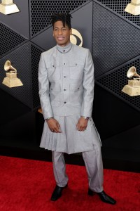 Grammy Awards Red Carpet Photos