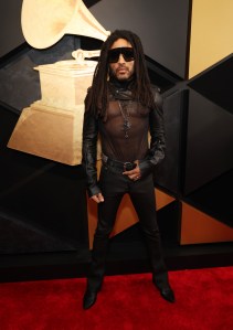 Grammy Awards Red Carpet Photos