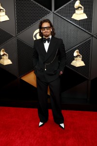 Grammy Awards Red Carpet Photos