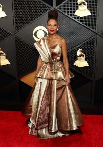 Grammy Awards Red Carpet Photos